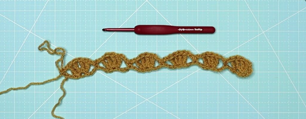 The shell petal stitch row 1