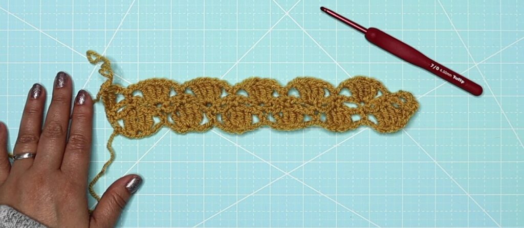 The shell petal stitch row 3