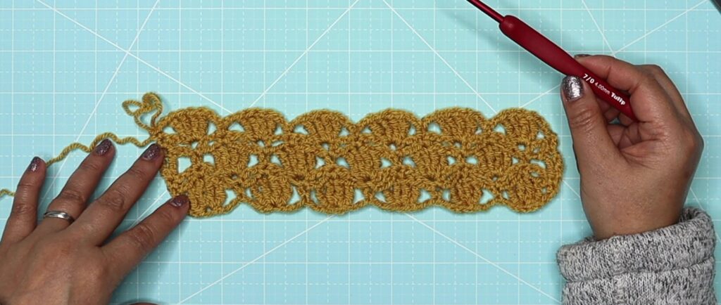 The shell petal stitch row 5