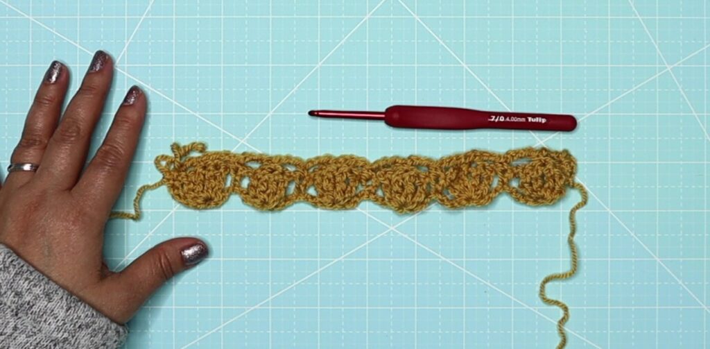 The shell petal stitch row 2